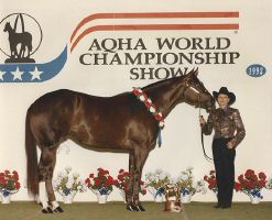 Shesa Splash Bar 1992 World Champ Two yr Mare.jpg